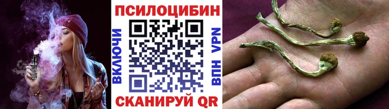 Псилоцибиновые грибы MAGIC MUSHROOMS  Заринск 
